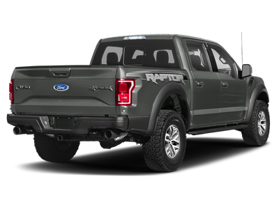 2019 Ford F-150 Raptor | 802A Group | Tech Pkg | Pano Sunroof