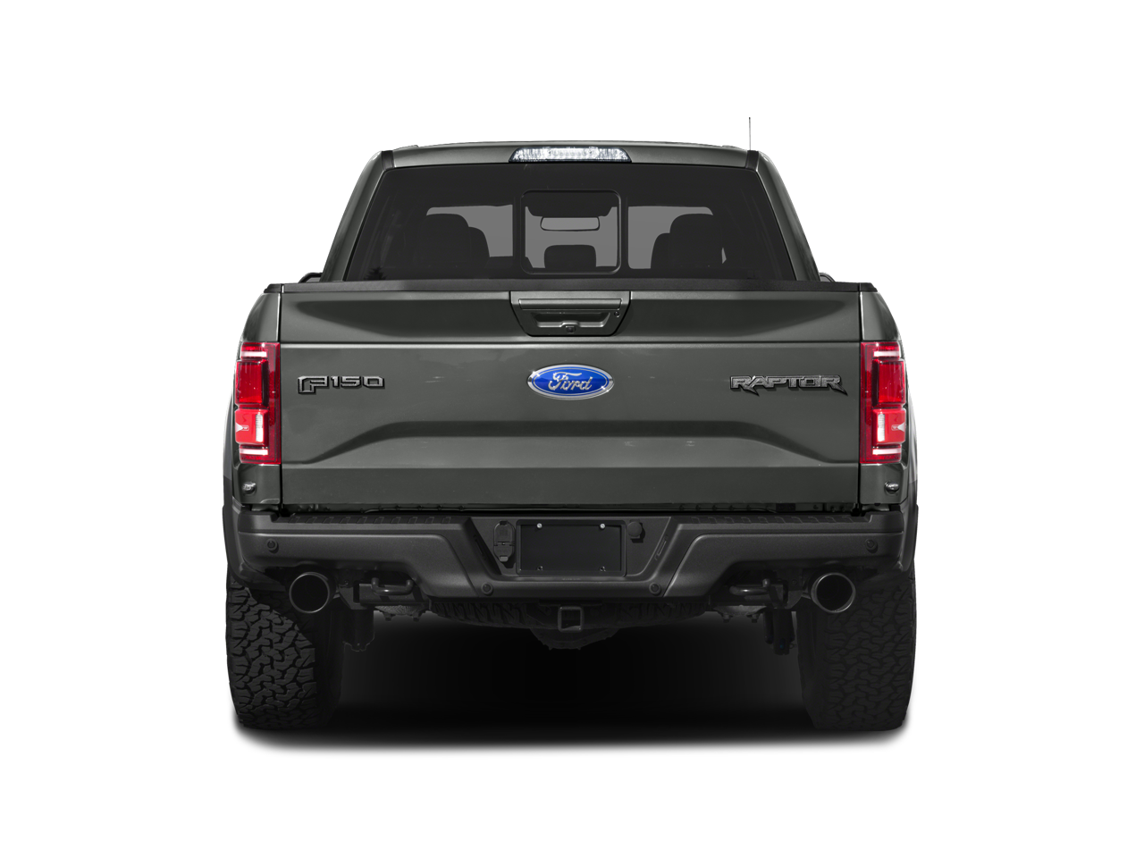 2019 Ford F-150 Raptor | 802A Group | Tech Pkg | Pano Sunroof