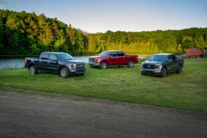 Ford F-150s Grazing in the Grass