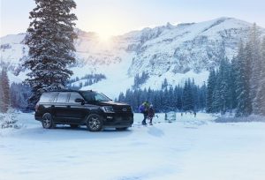 2021 Ford Expedition