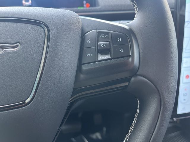 2025 Ford Mustang Mach-E GT AWD | Glass Roof | 360 Cam | Bronze Appear Pkg