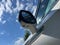 2026 Lincoln Aviator Reserve | Bluecruise | Illumination Pack | Pano Moonroof