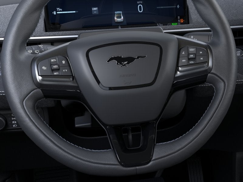 2025 Ford Mustang Mach-E GT - Photo 12
