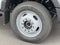 2026 Ford F-450SD DRW