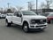 2025 Ford F-350SD Platinum DRW