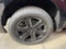 2026 Ford F-150 STX | LOBO PKG | 5.0 V8
