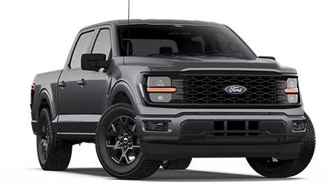 Ted Britt Ford of Fairfax in Fairfax VA