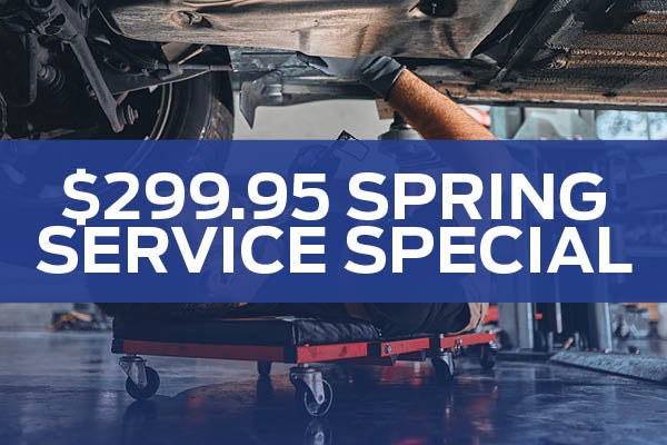 $299.95 SPRING SERVICE SPECIAL!